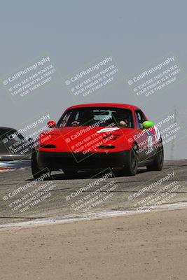 media/Sep-14-2024-Speed Ventures (Sat) [[a2bf28f496]]/Yellow Group/Session 2 (Grapevine)/